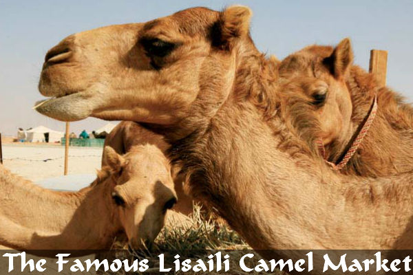 The-Famous-Lisaili-Camel-Market