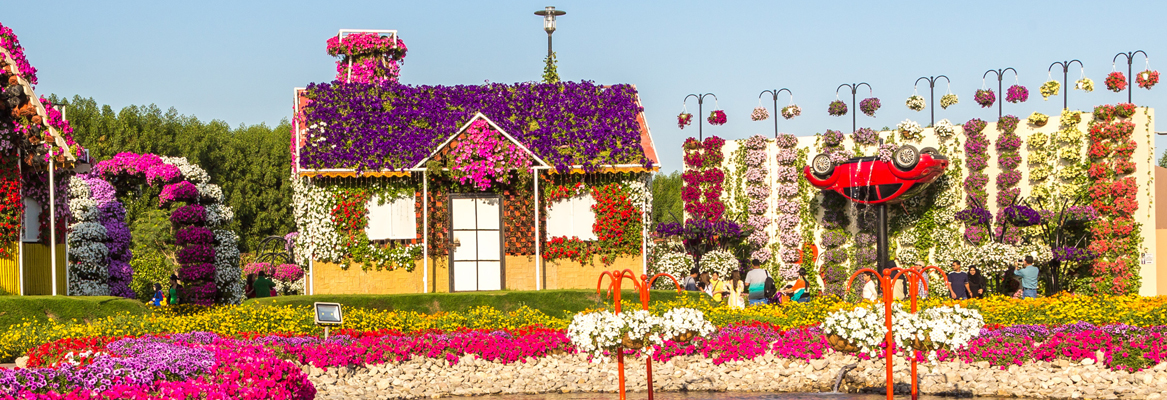 Apply Dubai Visa online to visit Dubai Miracle Garden