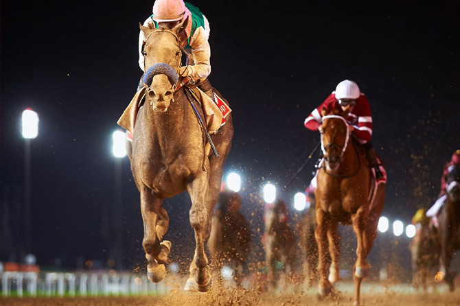 dubai world cup carnival